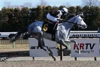 Tempted to Tapit