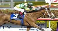 20 March 2010: Devil May Care and Jockey John Velazquez winning the Bonnie Miss Stakes at Gulfstream Park in Hallandale Beach, FL.