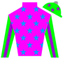 SecretariatRules Silks