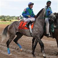 Electric Alphabet with Don Simington Super Derby