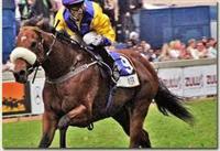 summerhill co za