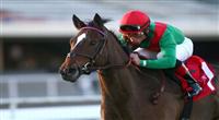 03 October 2010: Gypsy's Warning and Joel Rosario win the Matriarch Stakes(GI) at Hollywood Park, Inglewood, CA
747112710_HP_03.JPG