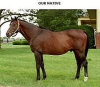 ournative