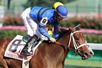 Decelerator captures 2009 Debutante