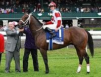 derbykitten