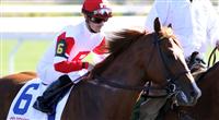 Pleasant Prince before the Blue Grass