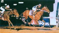 /stakes/stakesdetail.aspx?stid=Breeders Cup Classic