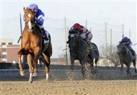 Flashing wins Gazelle Stakes