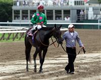Maram, Saratoga 2009