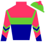 horselover98 Silks