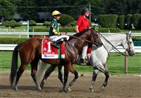 Smooth Air, 2009 Saratoga