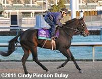 In Training for 2011 BC