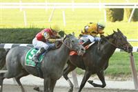 My Jen outlasts Moontune Missy in the 2010 Gallant Bloom