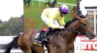 Sea The Stars storms home in the Irish Champion Stakes - 2009