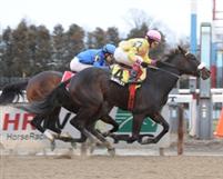 Singlet winning the 2012 Dearly Precious Stakes at Aqueduct.