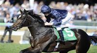 Wrote, ridden by jockey Jamie Spencer and trained by Aidan O'Brien, winning the Breeders' Cup Juvenile Turf (G2) at Churchill Downs in Louisville, Kentucky on November 5, 2011.