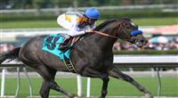 26 December 2010: The Factor beaks his maiden under Rafael Bejarano at Santa Anita Park, Arcadia, CA 