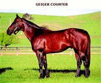 Geigercounter