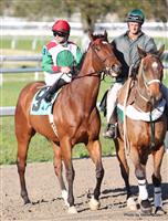 Brentwood Bullet with Shane Sellers