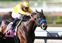 07 February 2010: Richard's Kid and Garrett Gomez (rail) get up to win the San Antonio Handicap(GII) at Santa Anita Park in Arcadia, CA..