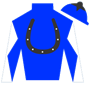 ruffian65 Silks