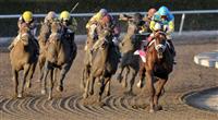 Eskendereya wins Fountain of Youth.