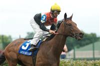 Closeout captures the 2009 Locust Grove under Robbie Albarado