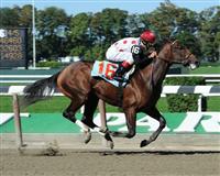 To Honor And Serve breaks maiden at Belmont Park (10-2-10). 