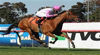 Dubawi Heights top story
