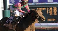 Caleb's Posse, ridden by jockey Rajiv Maragh and trained by Donnie Von Hemel wins the Breeders' Cup Dirt Mile (G1) at Churchill Downs in Louisville, Kentucky on November 5, 2011.