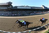 Blame Edges Quality Road in 2010 Whitney. 