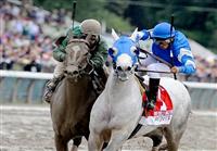 Vineyard Haven (no 1), crosses the finish line first but is disqualified and placed second for bumping into Capt. Candyman Can, in the 25th running of the grade 1 Kings Bishop Stakes for three year olds at Saratoga Race Track.