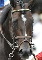 Seaspeak prior to the 2009 Bernard Baruch at Saratoga