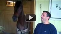 Joe DePaolo's interview with Mike Repole