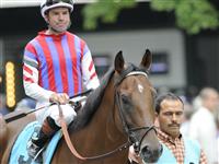 Sette E Mezzo and Jockey Kent Desormeaux before running third in the 2009 Bernard Baruch