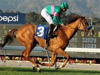 February 21, 2012.Cozi Rosie riden by Mike Smith wins The Buena Vista Handicap at Santa Anita Park, Arcadia, CA.. 