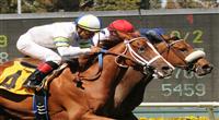 July 16, 2011.Nereid riden by Joseph Talamo, and Cambina riden by Martin Garcia finish in a dead heat in the American Oaks Stakes at Hollywood Park, Inglewood, CA 