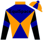 EquiSpace Silks