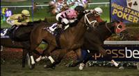 Silver Medallion with jockey Javier Castellano winning the Ft Lauderdale Stakes(G3T) at Gulfstream Park. Hallandale Beach, Florida. 01-14-2012 