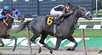 Betty winning an Allowance at Belmont 2009