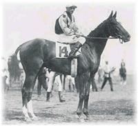 sarazen2