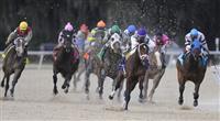 Brethren with Ramon Domingquez wins The Sam F. Davis Stakes at Tampa Bay Downs in Oldmar Fl 2.12.2011 