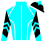coburnlagrange Silks