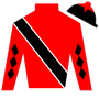 DeeAnnBloom Silks