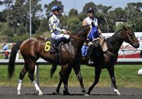 09 July 12: Champagne D'Oro prior to the the 65th running of the Landaluce Stakes for two year old fillies at Hollywood Park in Inglewood, California.