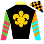 IGuessedtheTripleCrown Silks