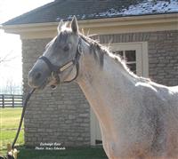 Exchange Rate at Three Chimneys farm