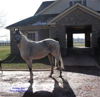 Exchange Rate at Three Chimneys Farm