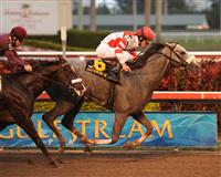 Winslow Homer takes the 2010 Holy Bull Stakes over Jackson Bend