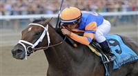 Stay Thirsty (no. 9), ridden by Javier Castellano and trained by Todd Pletcher, wins the 142nd running of the grade 1 Travers Stakes for three year olds on August 27, 2011 at Saratoga Race Track in Saratoga Springs, New York. (Bob Mayberger/Eclipse Sportswire) 